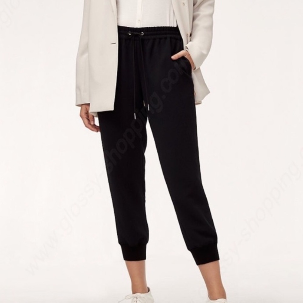 Aritzia Wilfred Buffon Silk Trim Crepe Jogger/ Pant L